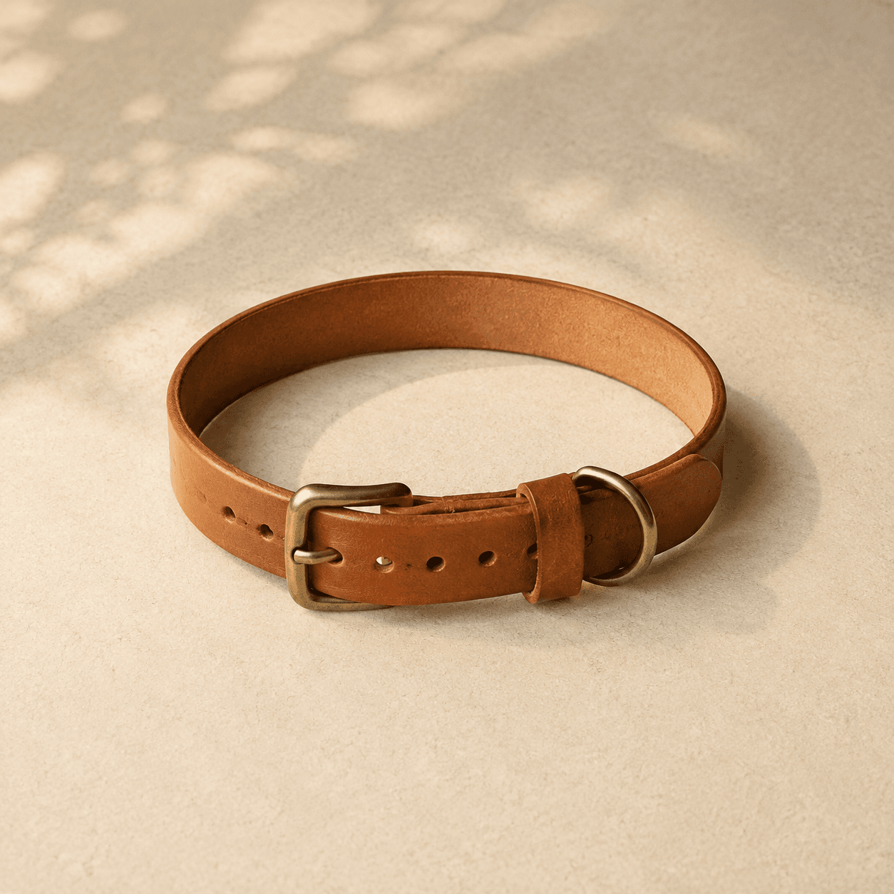A 25 mm tan leather dog collar with brass buckle and D-ring, photographed flat