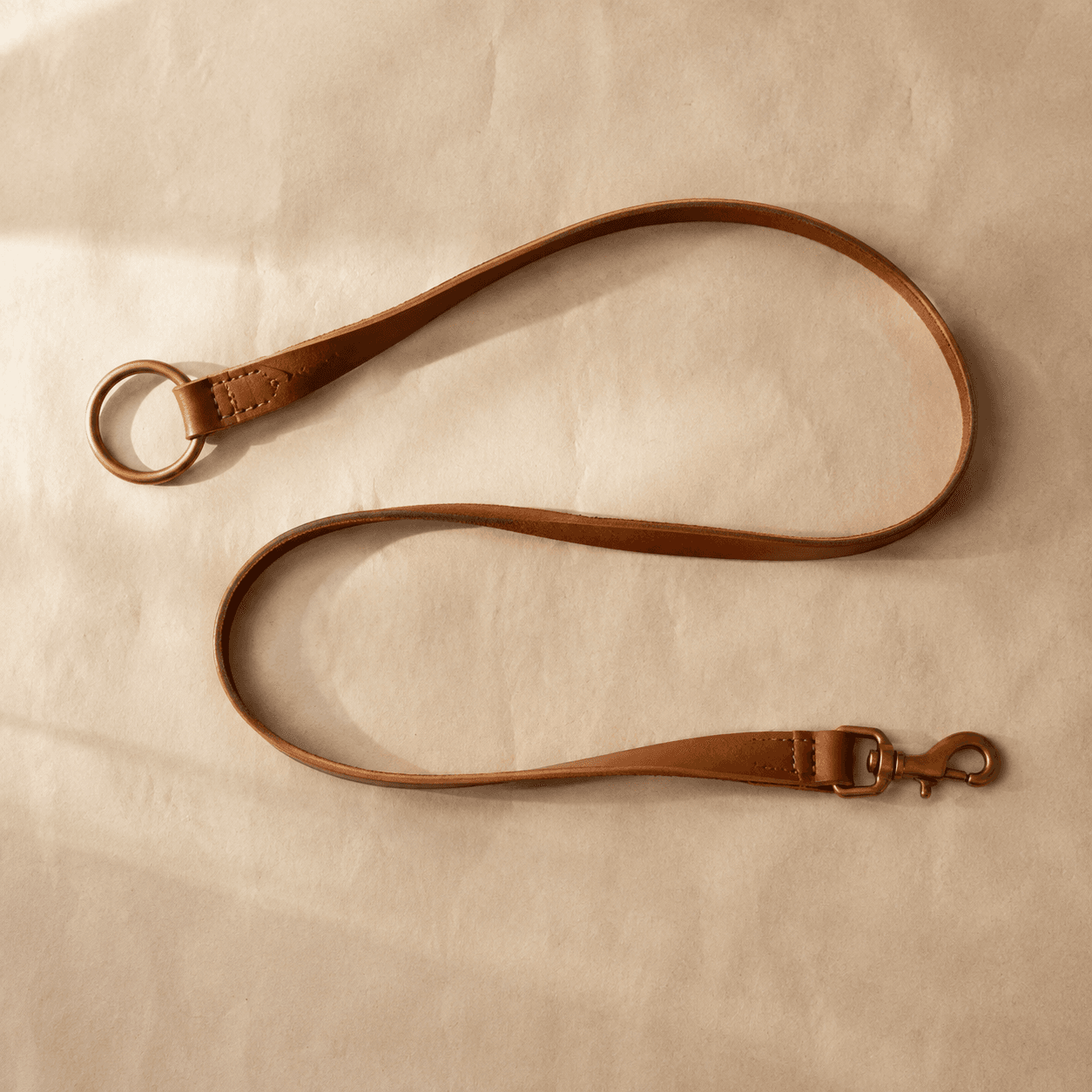 A leather waist lead with a large brass ring at one end and a swivel snap at the other