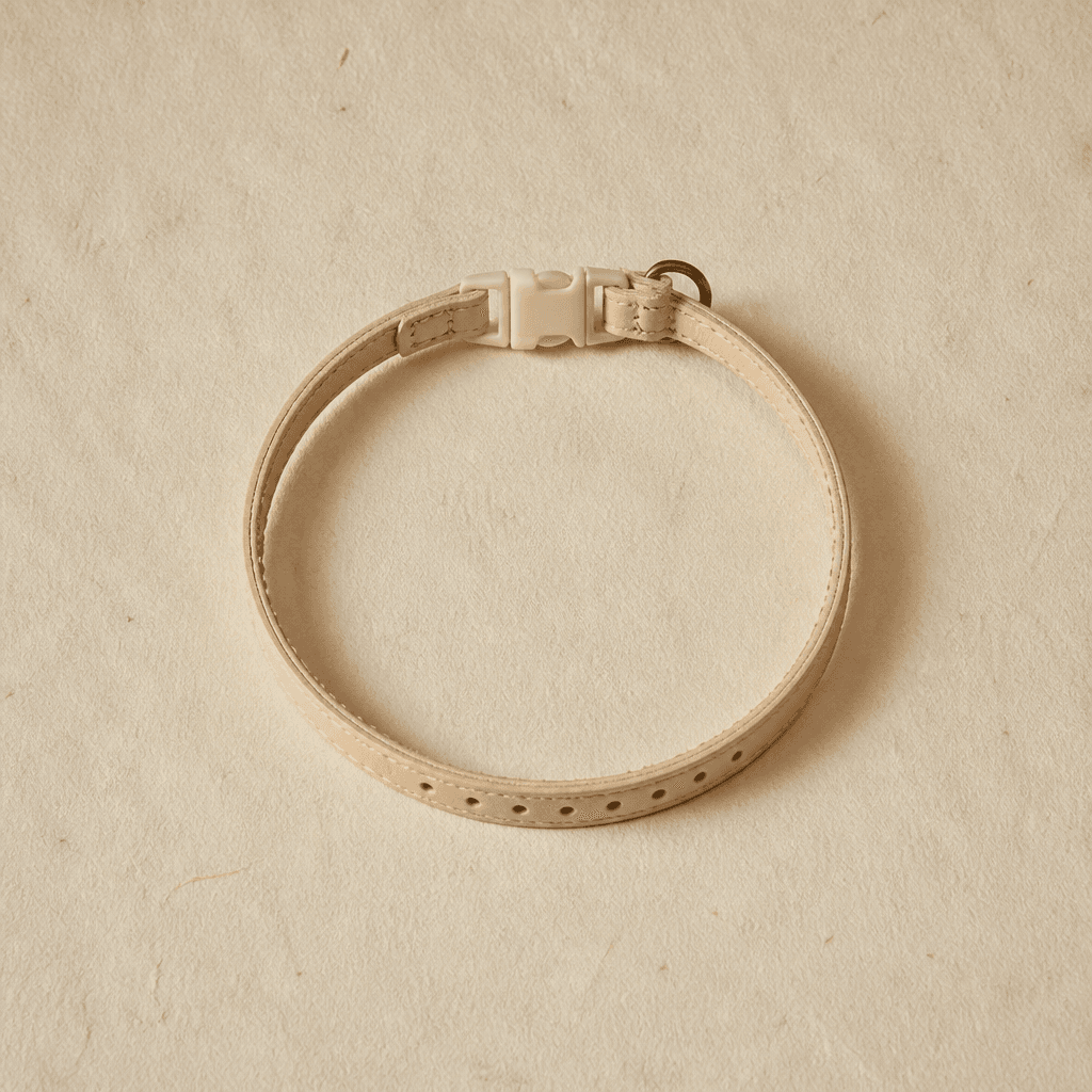 A very narrow pale leather starter collar with a breakaway buckle and eight holes