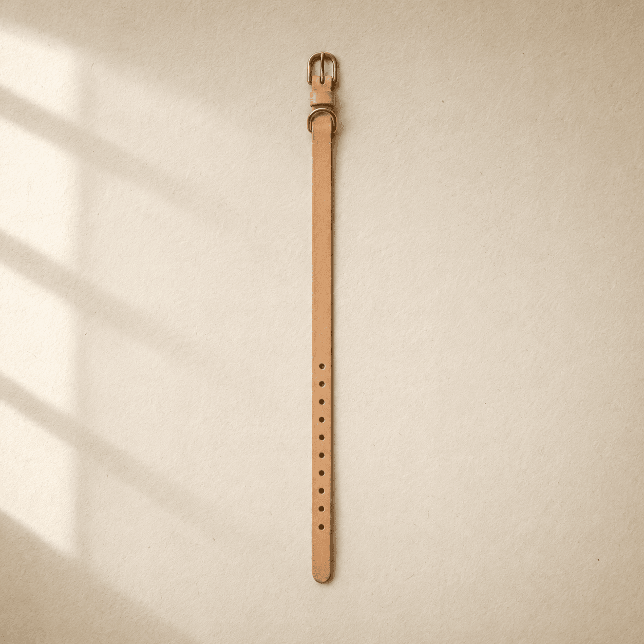 A narrow light tan puppy collar with ten adjustment holes and a small brass buckle