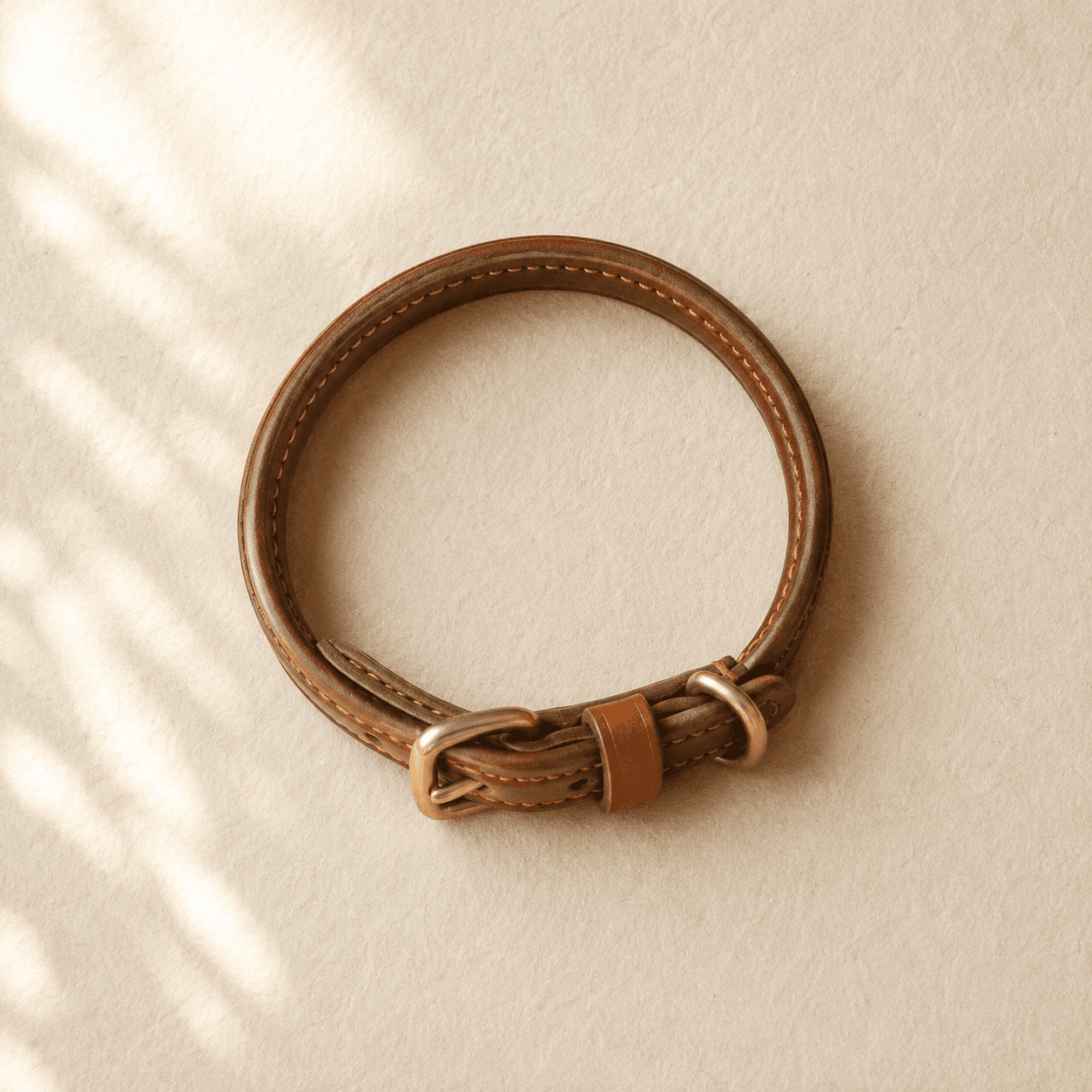 A round rolled leather collar in dark tan with a brass buckle, coiled on cream paper